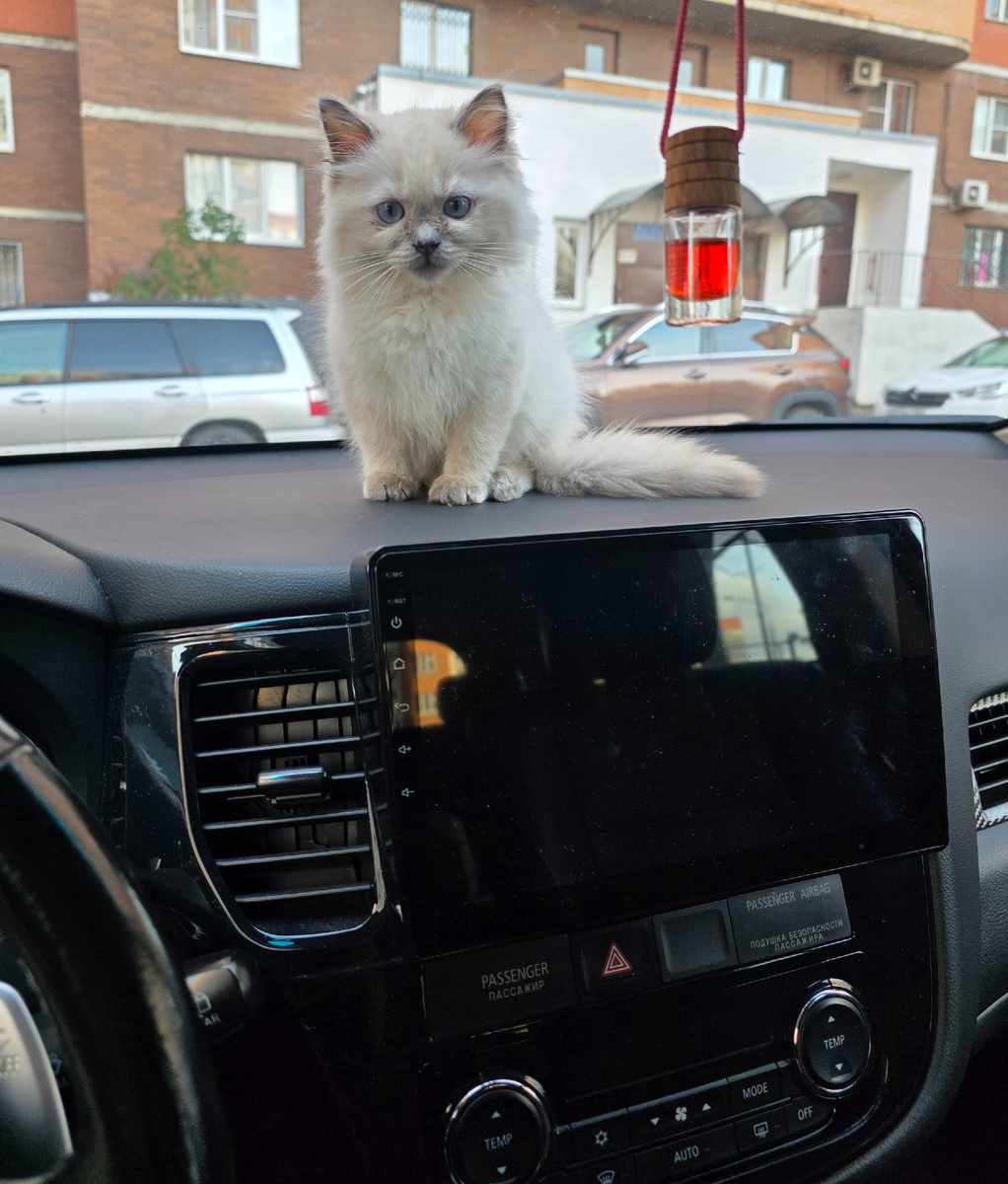 Фото из личного архива