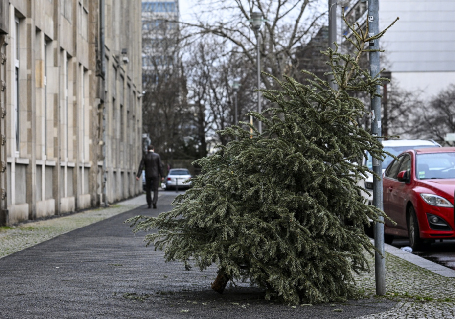    Jens Kalaene/dpa/Global Look Press