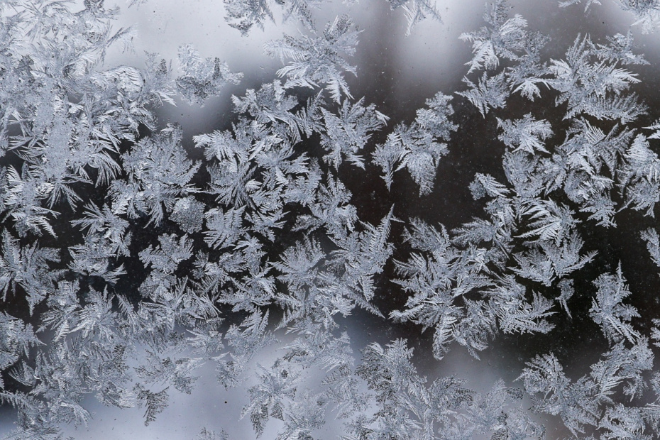    Сергей Булкин/NEWS.ru