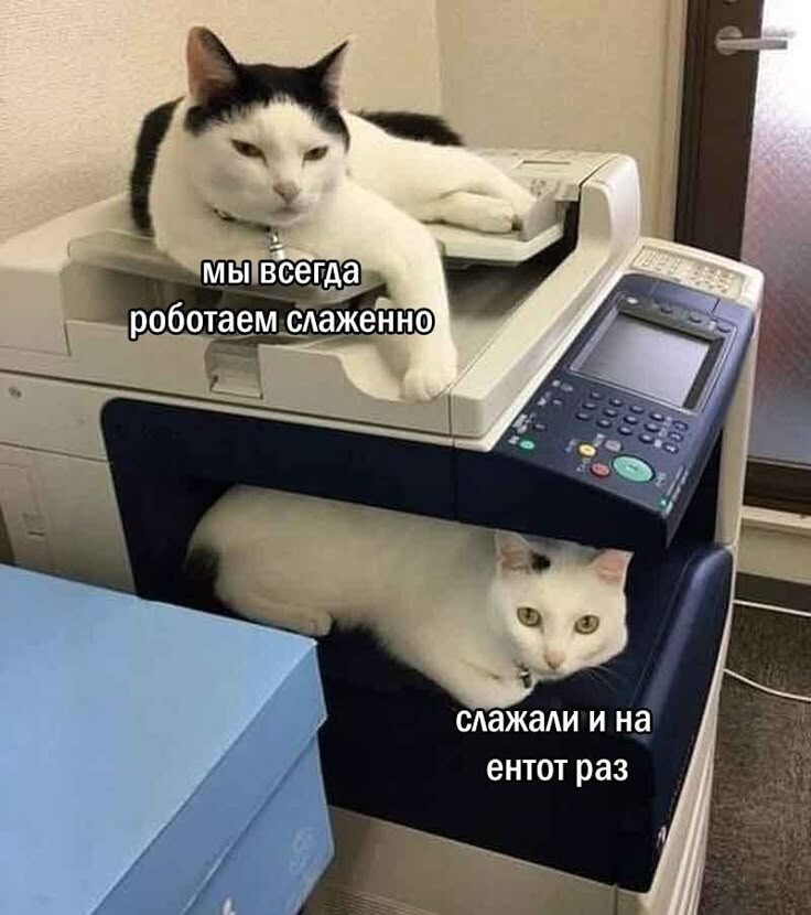 источник Яндекс-картинки