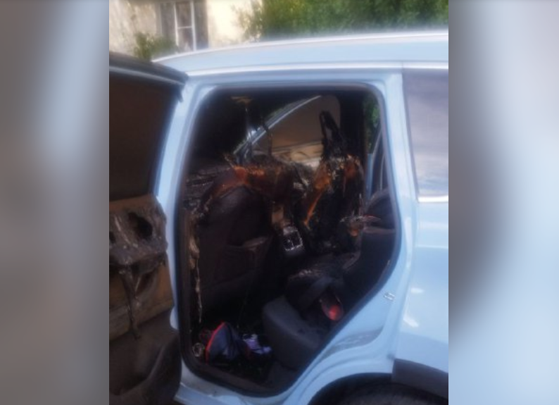 Фото: соцсети