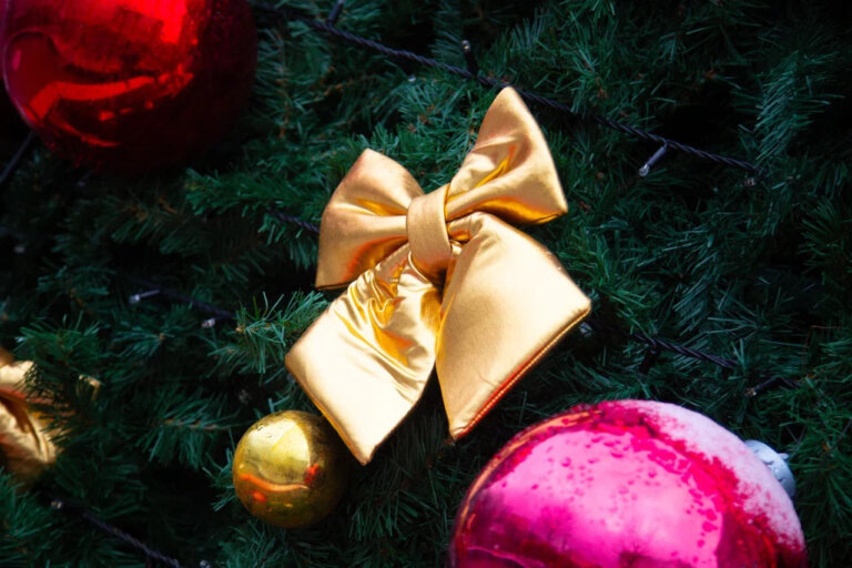    Фото: Общественная Служба Новостей Марта Леви