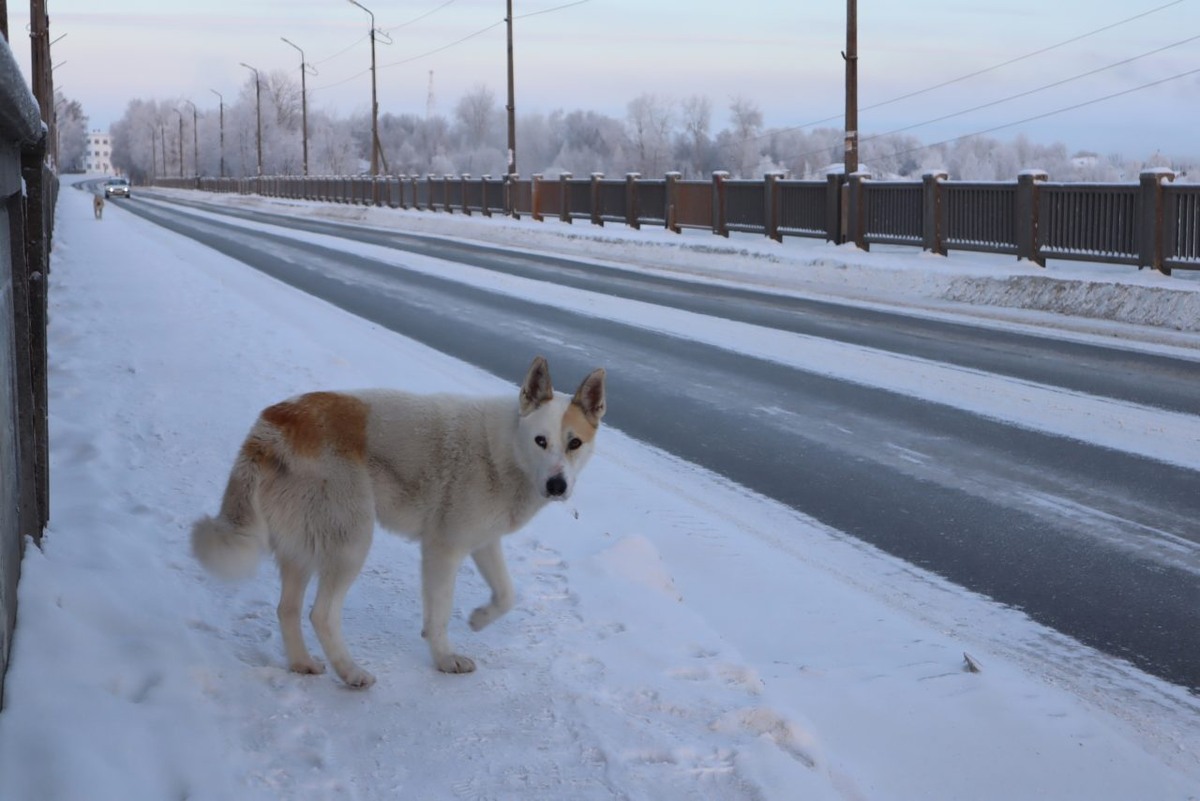    Фото: "Республика"/ Дарья Волкова