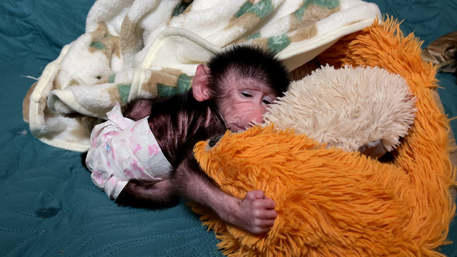    © АО "ТВ Центр"