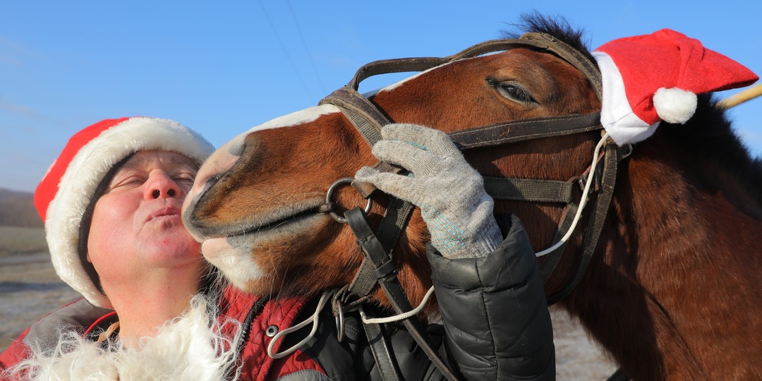 Зачем сварщику Лебединского ГОКа Сергею Мигунову собственная лошадь