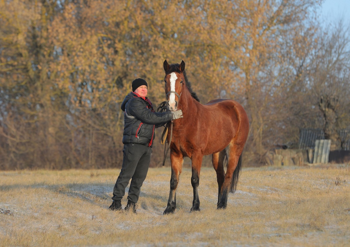 В марте Крохе исполнится три года. Фото Валерия Воронова / «Медиацентр»