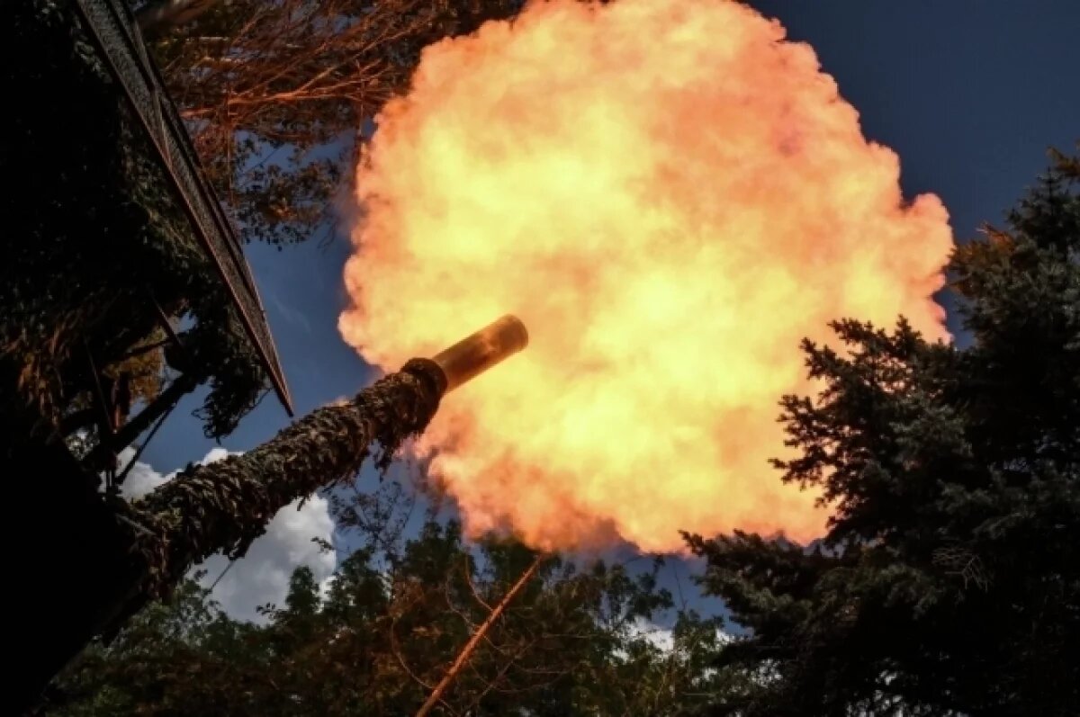    Суперопасный «Тюльпан»: как ВС РФ уничтожили тайный бункер ВСУ в Гуляйполе