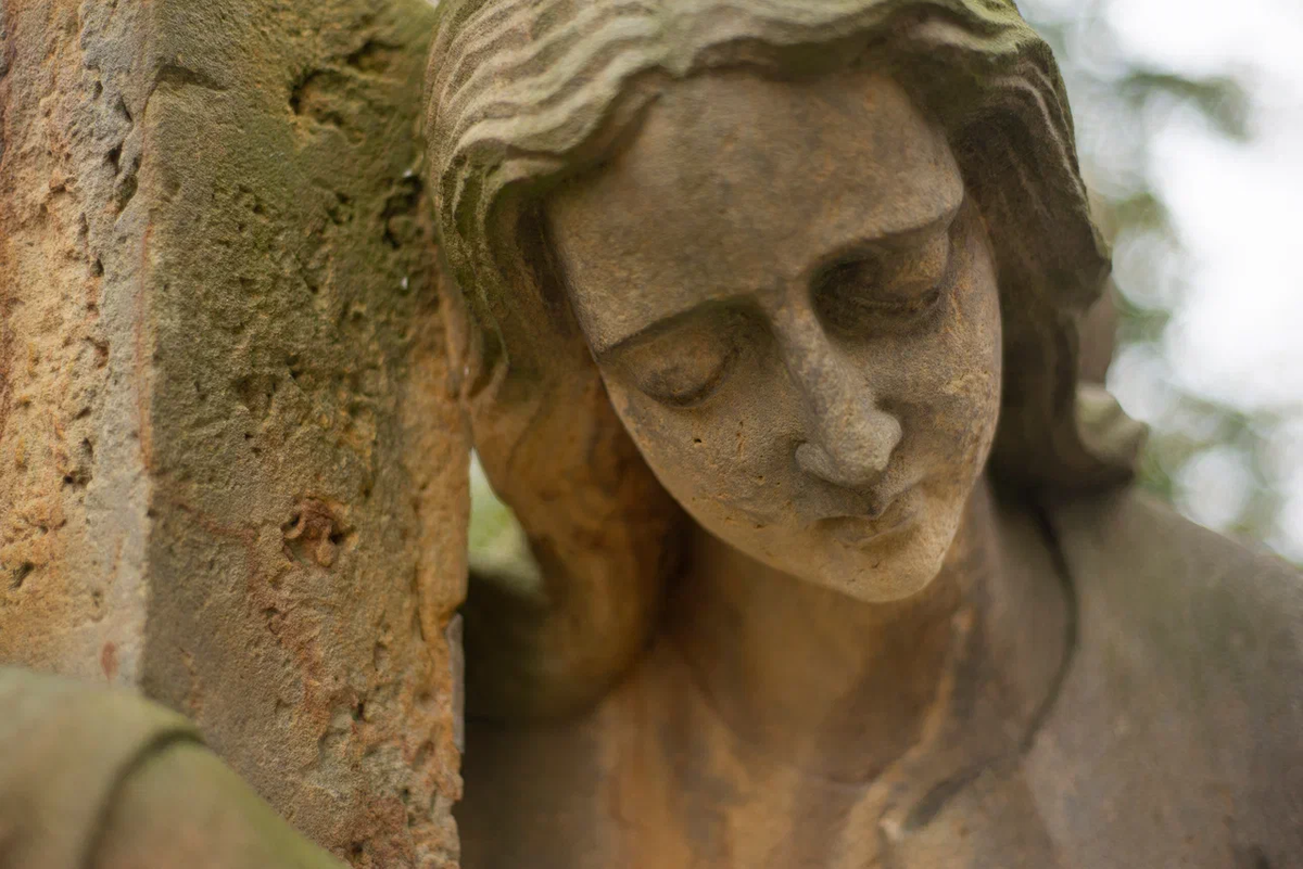 Фото: Shutterstock