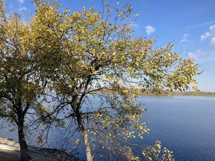     Фото: Сергей Климушев