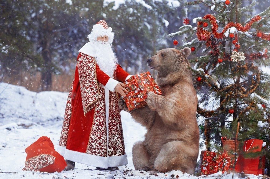    Shutterstock/FOTODOM