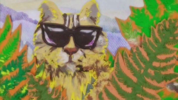    Фото:Кадр из мультфильма