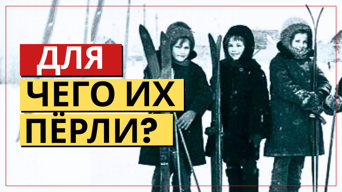 Почему школьники несли инвентарь сами?