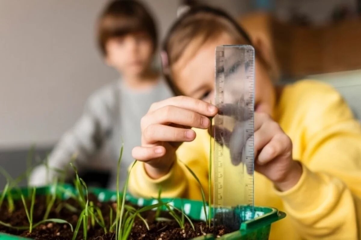    В Усть-Кинельском открыли первые агроклассы