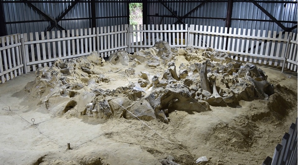   Wei Chu et al. / Open Research Europe, 2025