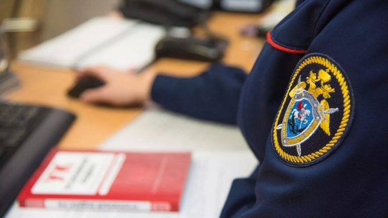    Бастрыкин поручил возбудить дело из-за добычи песка в Новоорском районе Оренбуржье