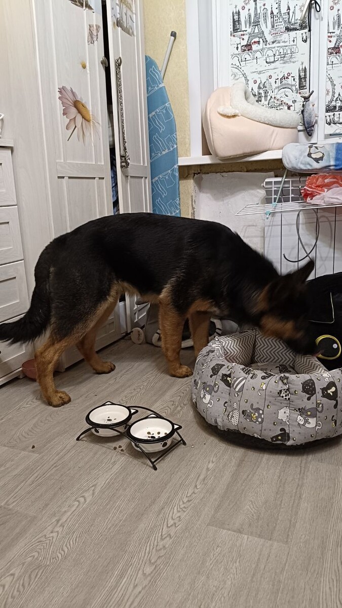 Листайте вправо, чтобы увидеть больше изображений