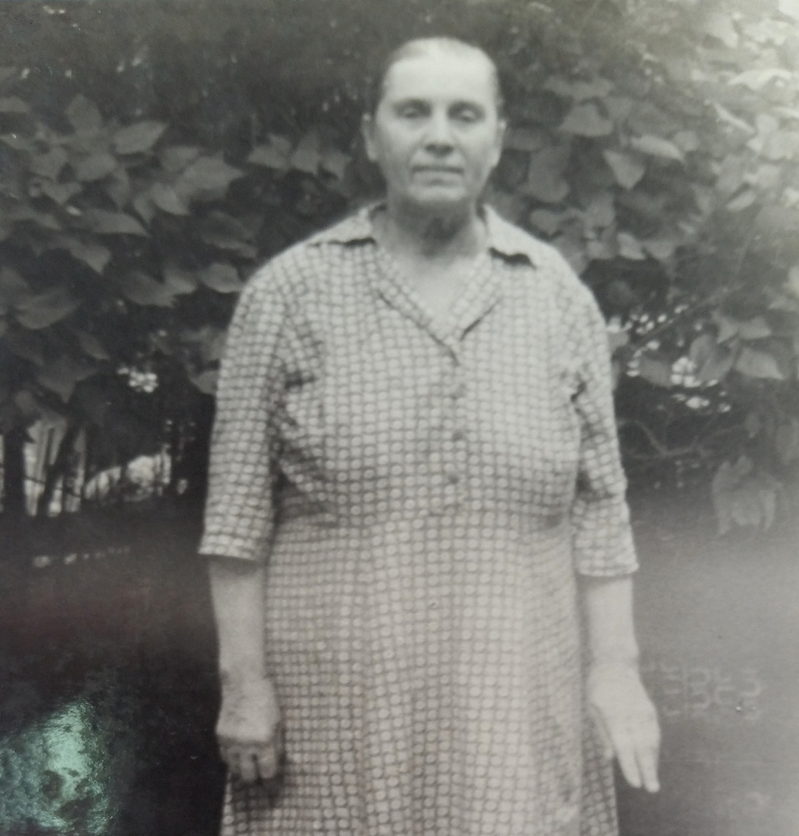 Прабабушка