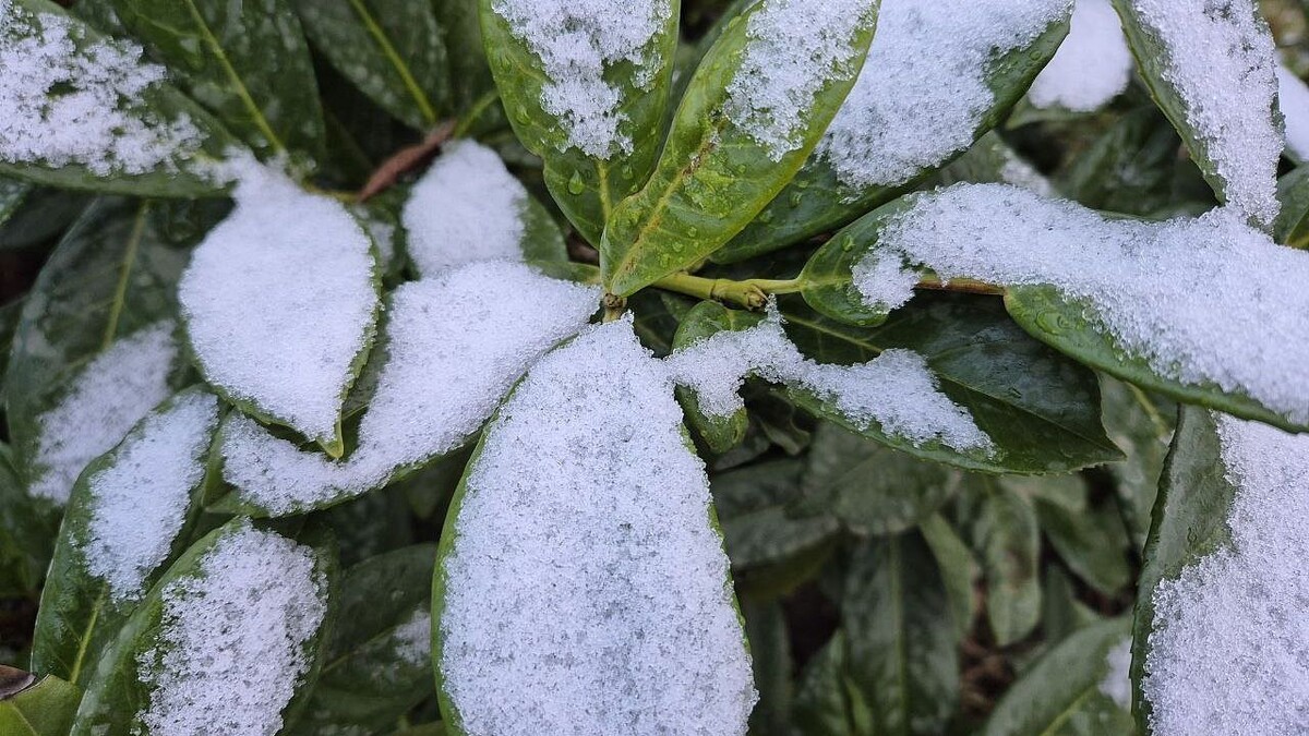    Фото: телеканал «Краснодар»