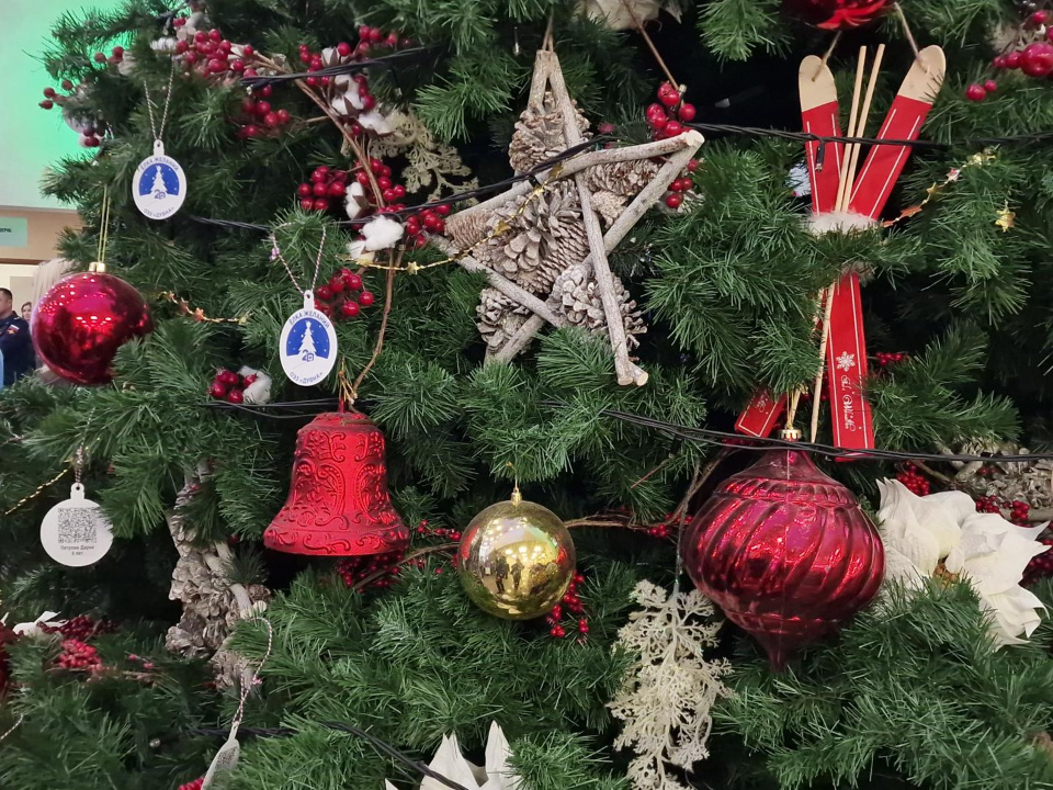    Фото: REGIONS/Анастасия Игнатова