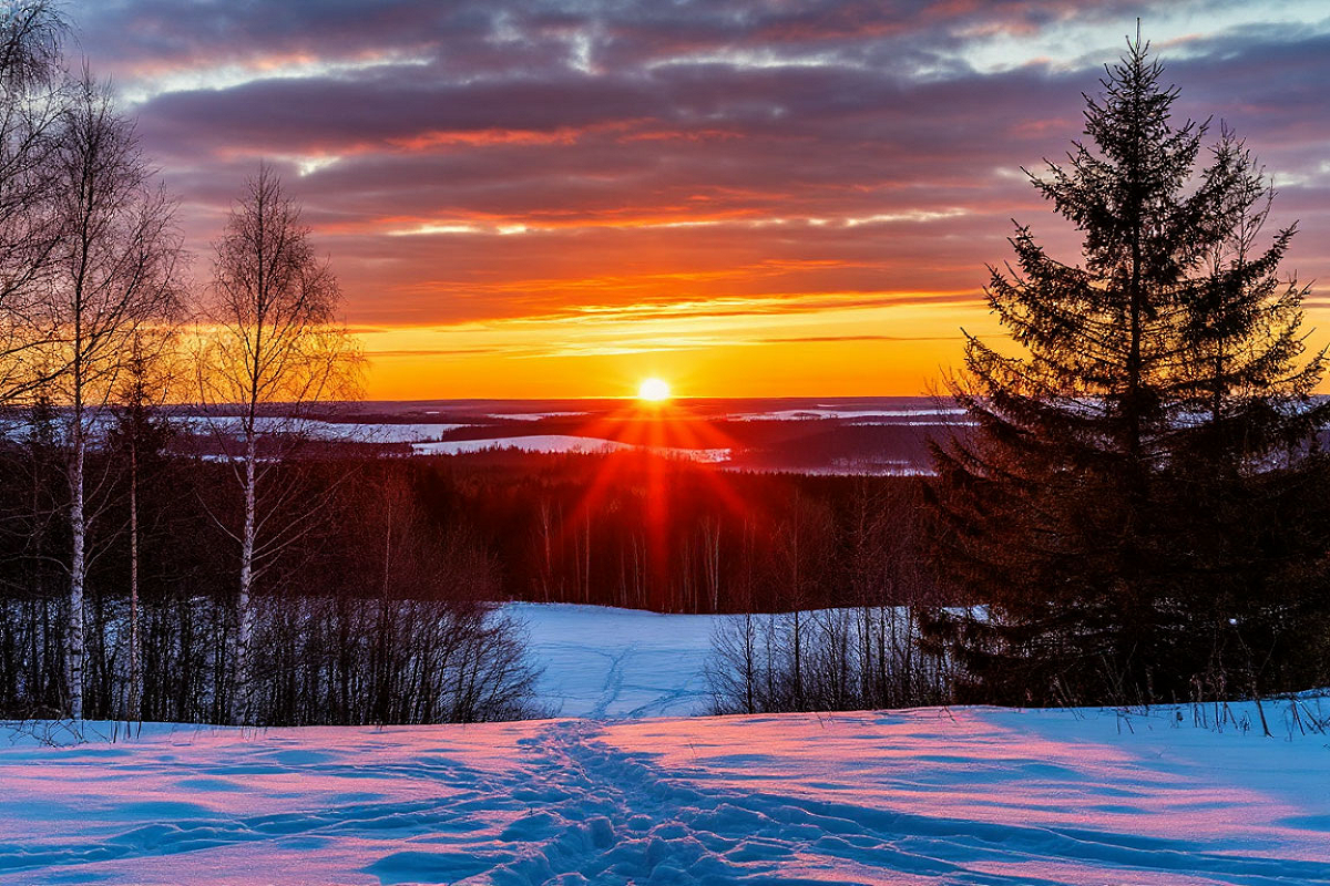    Фото: коллаж RuNews24.ru