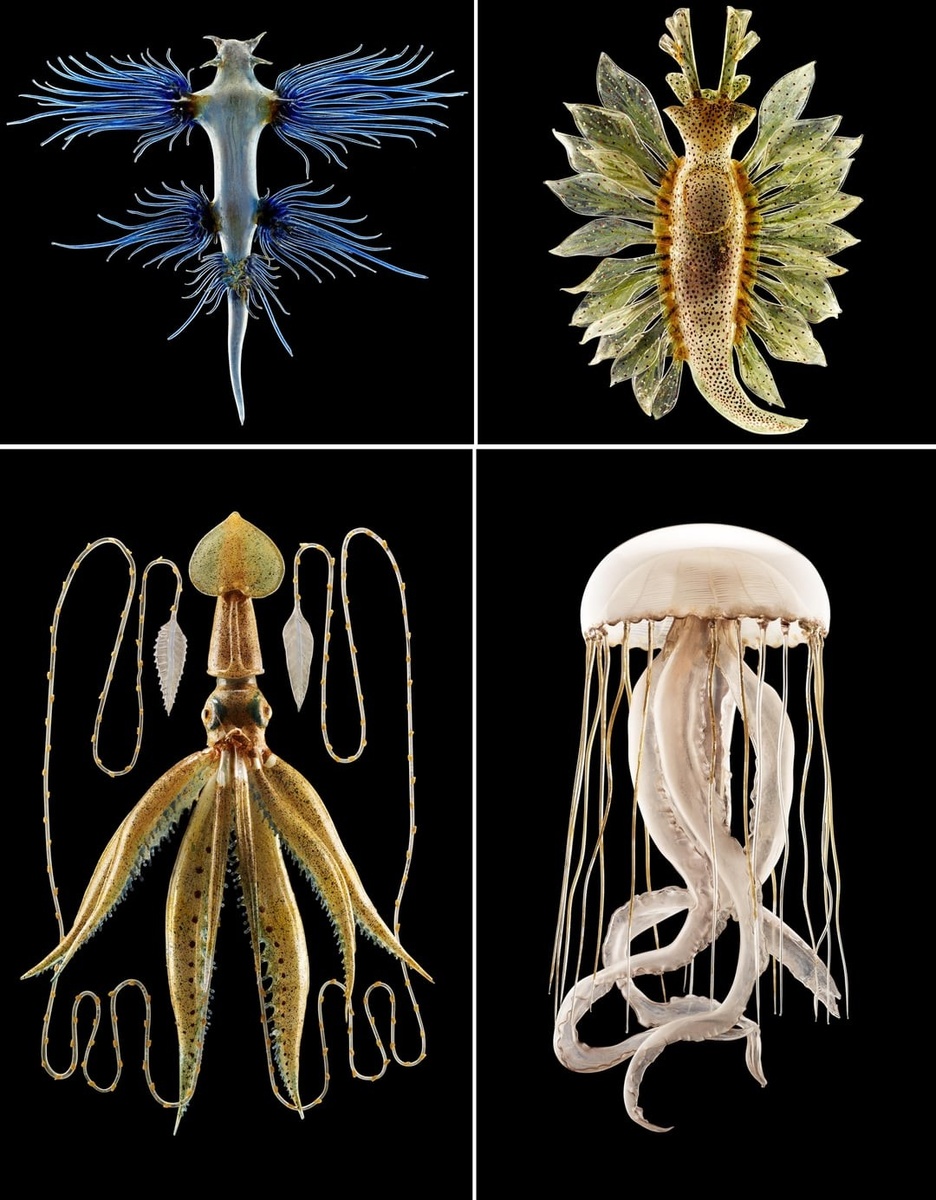 Источник: redd.it