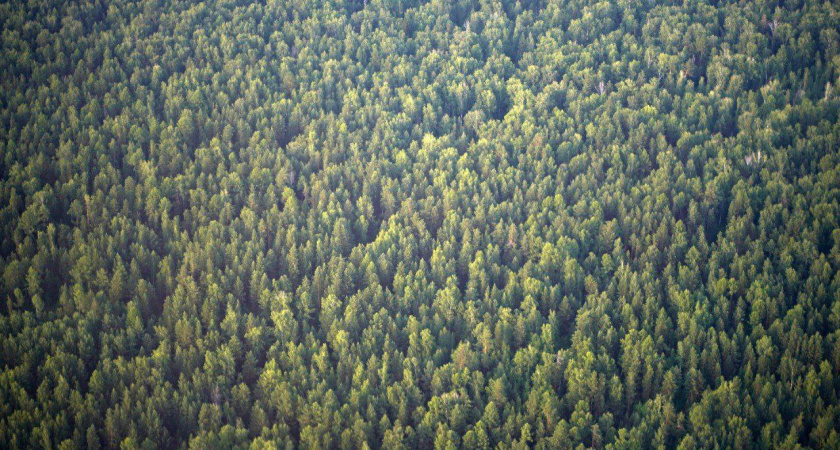    Фото из телеграм-канала правительства Иркутской области