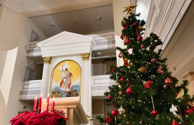 Фото: Алина Циопа / FONTANKA.RU