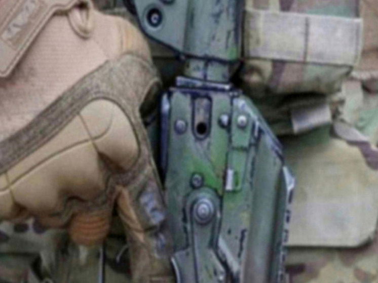     Фото: Belkin Alexey/Global Look Press