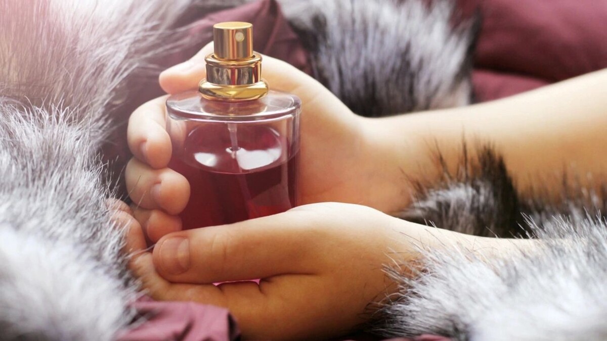    Фото: SabOlga/Shutterstock/Fotodom