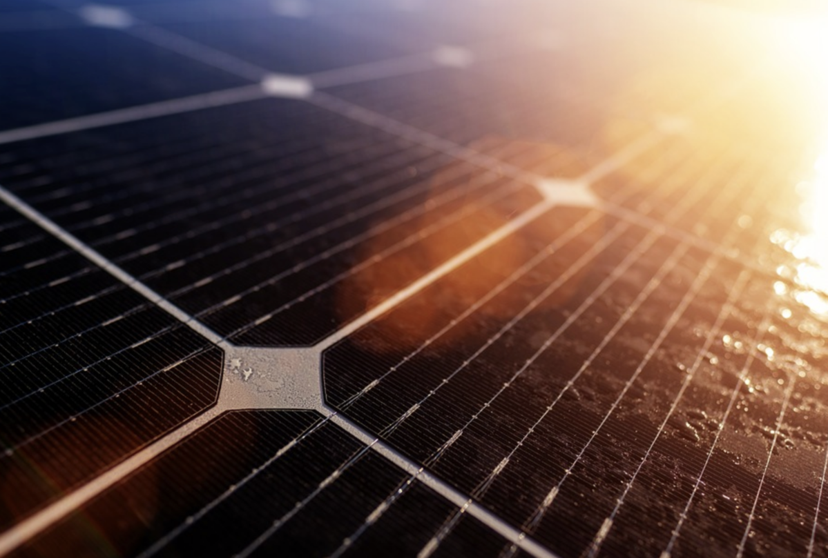 Изображение: Майкл Пойнтер, Unsplash