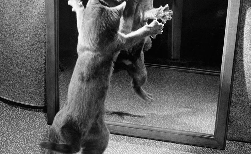 Снимки National Geographic, которые могли навсегда остаться в архивах | Подборка для вдохновения.