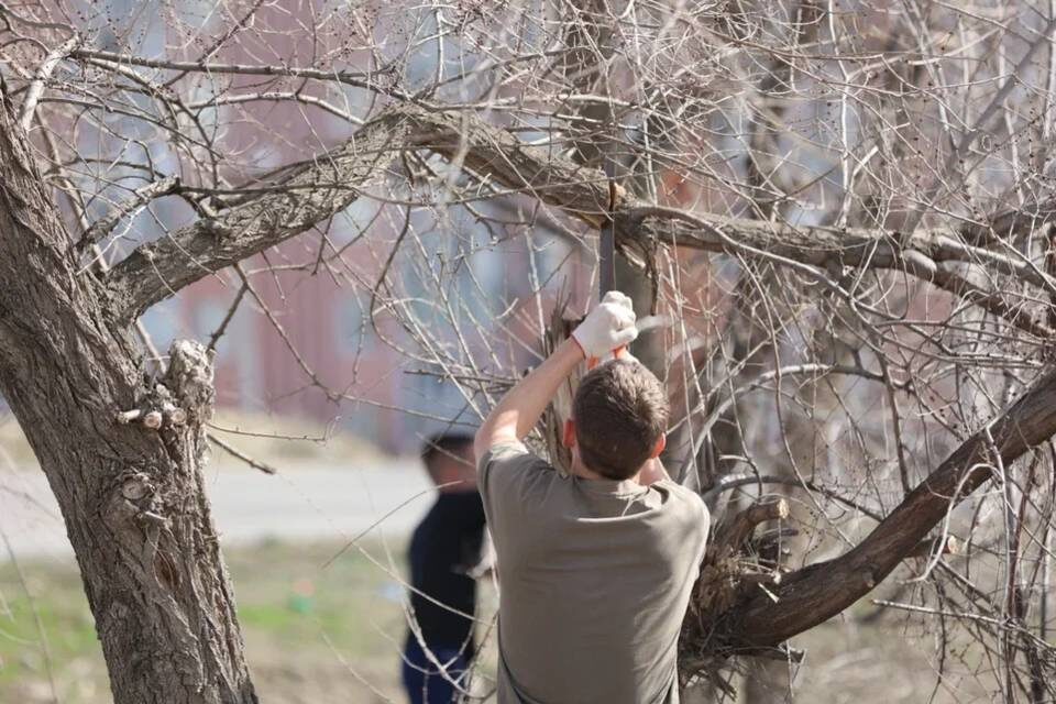    Фото: Данил Савченко / "Городские вести"