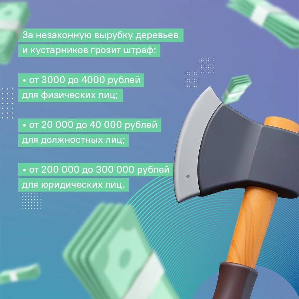    Скриншот: ЦУР