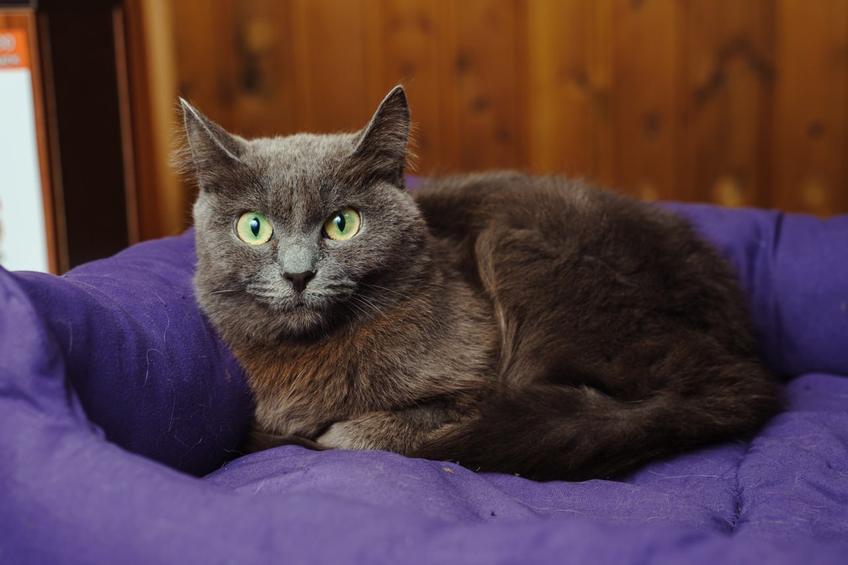 Сказка закончилась почти сразу после праздников... Четвёртый раз она поверила, и в четвёртый раз её мир был разрушен