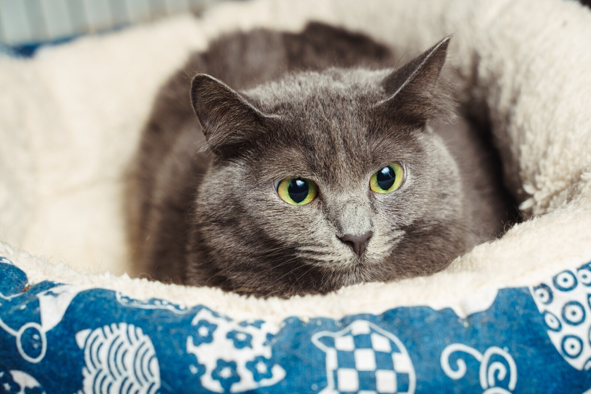 Фрея боится, что её снова бросят...