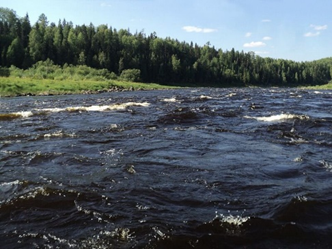 Речка местами бурная из-за коренных пород, с которыми речка так и не справилась за милионы лет.