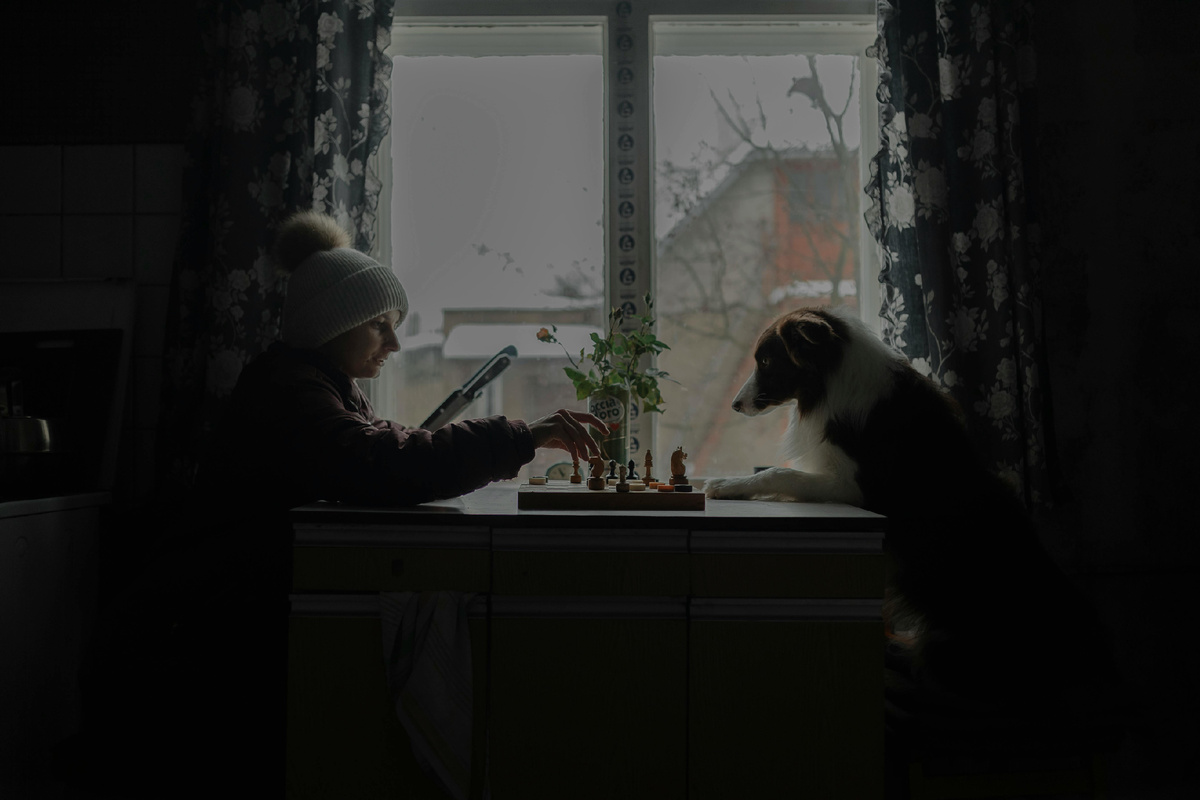 Источник: https://www.pexels.com/ru-ru/photo/16048078/