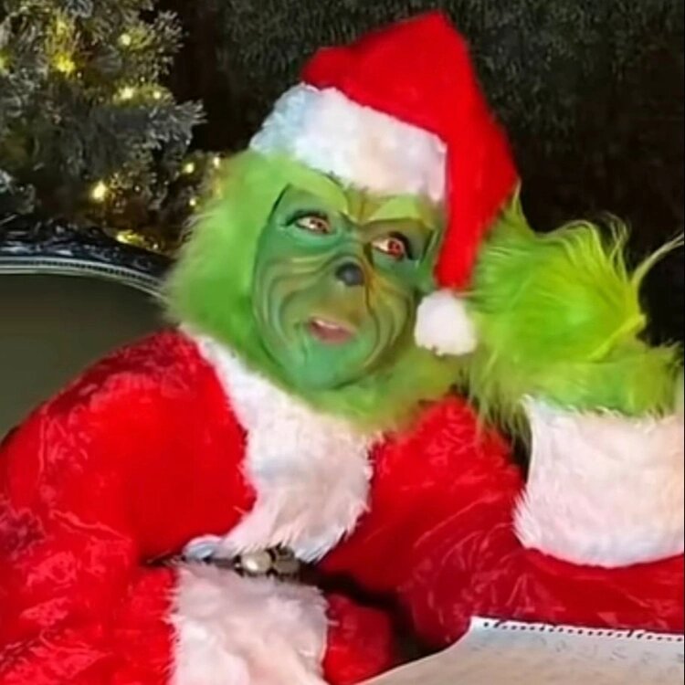 ФОТО: Instagram Селин Дион (запрещенная в России соцсеть; принадлежит компании Meta, признанной экстремистской организацией и запрещенной в РФ)📷
