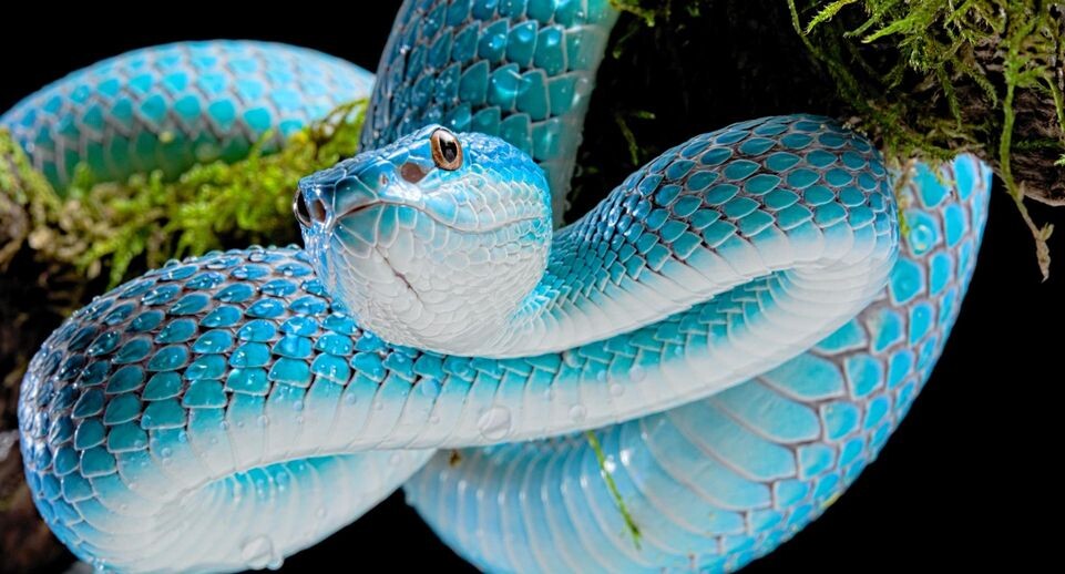    Clément Carbillet/http://imagebroker.com/#/search/ / www.globallookpress.com