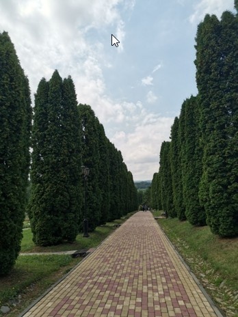 Здесь можно выбрать – спуститься в парк пешком или же проехаться на автобусе, который ходит от Колоннады до Долины Роз каждые пол часа.