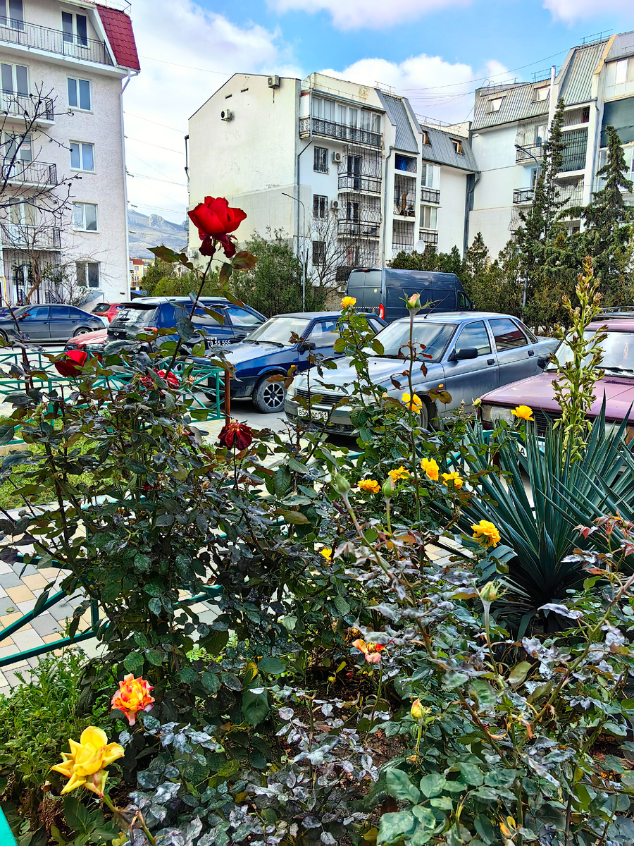 Фото автора канала