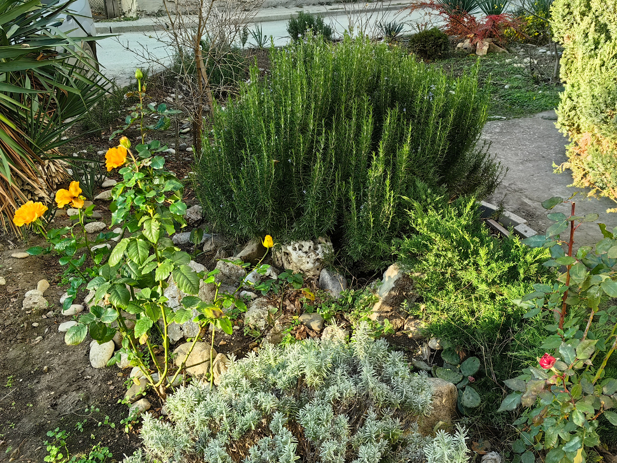 Фото автора канала