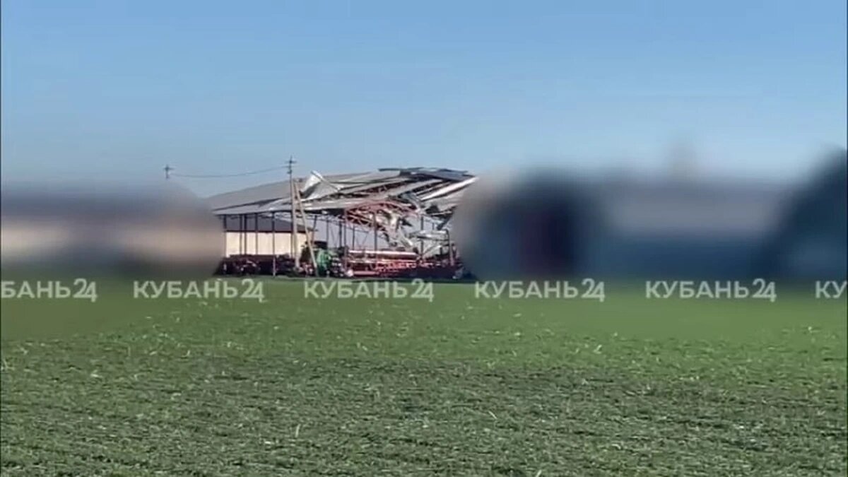    Фото "Кубань 24"