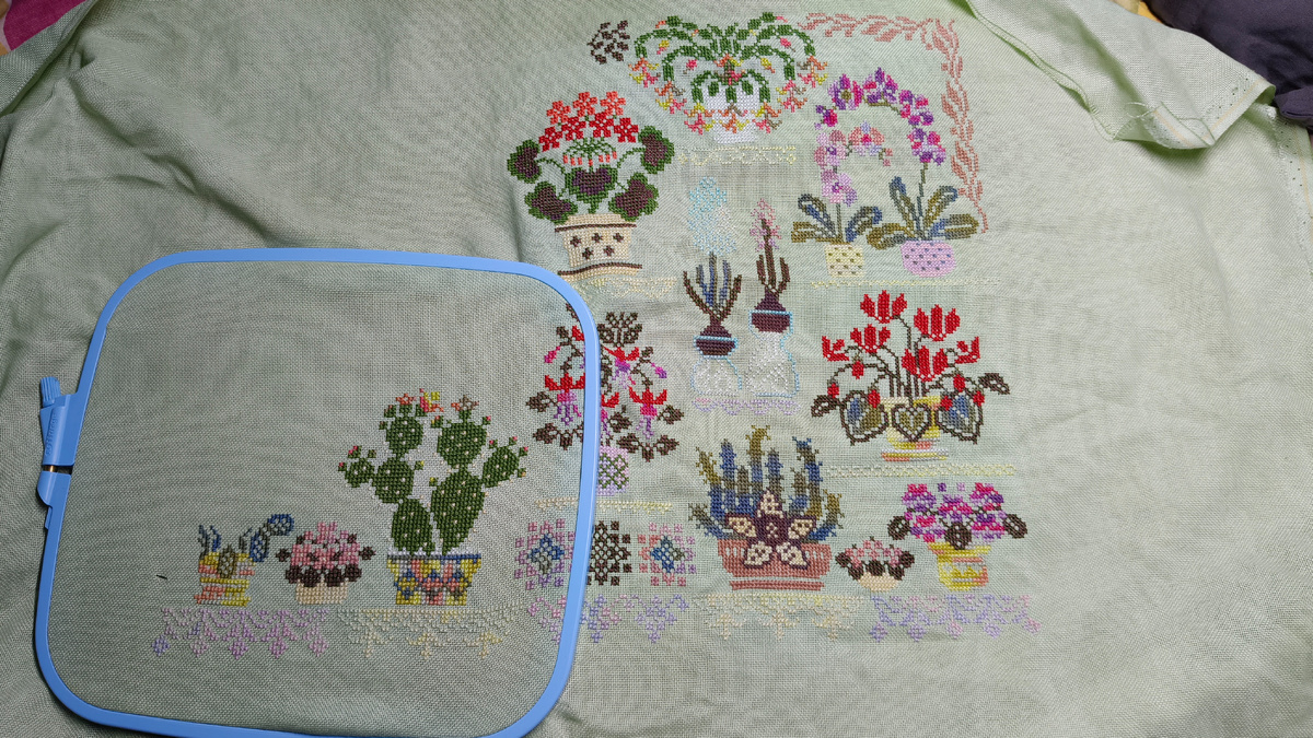 Комнатные растения