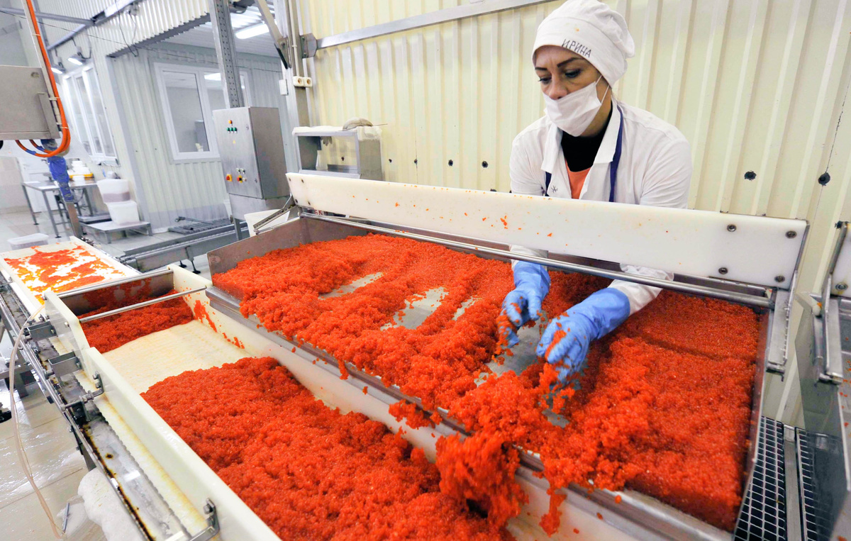 Александр Петров/ТАСС