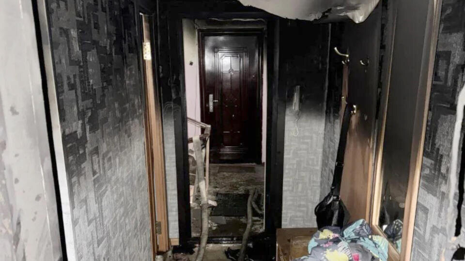     Новогодняя елка спалила квартиру многодетной семьи в Магадане МЧС РФ по Магаданской области