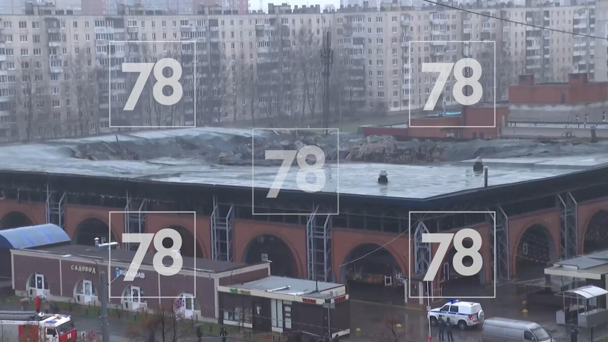 Фото: 78.ru