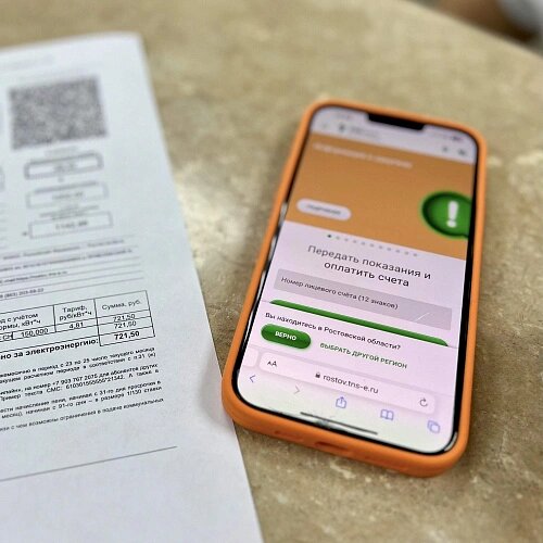    Фото: «ТНС энерго Ростов-на-Дону»