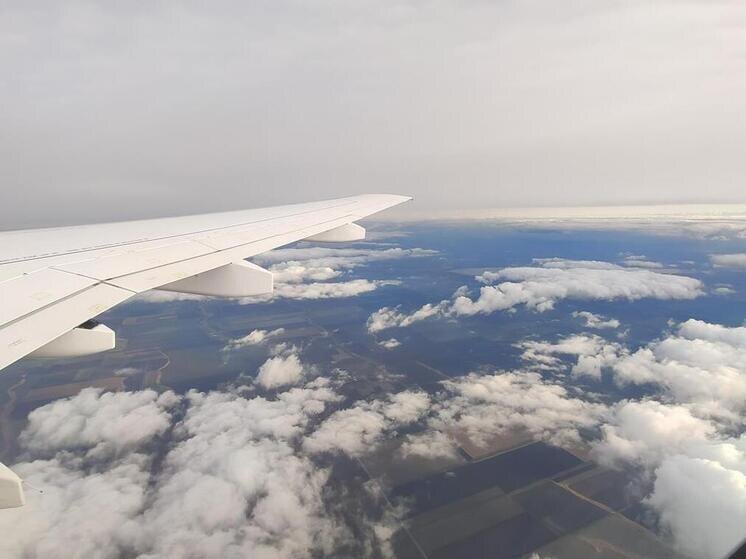     Фото: МК в Сочи