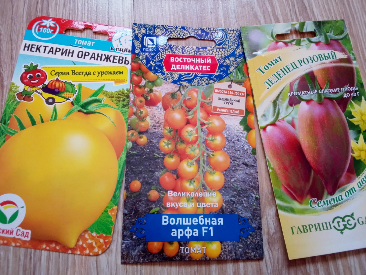 Семена томатов, фото автора